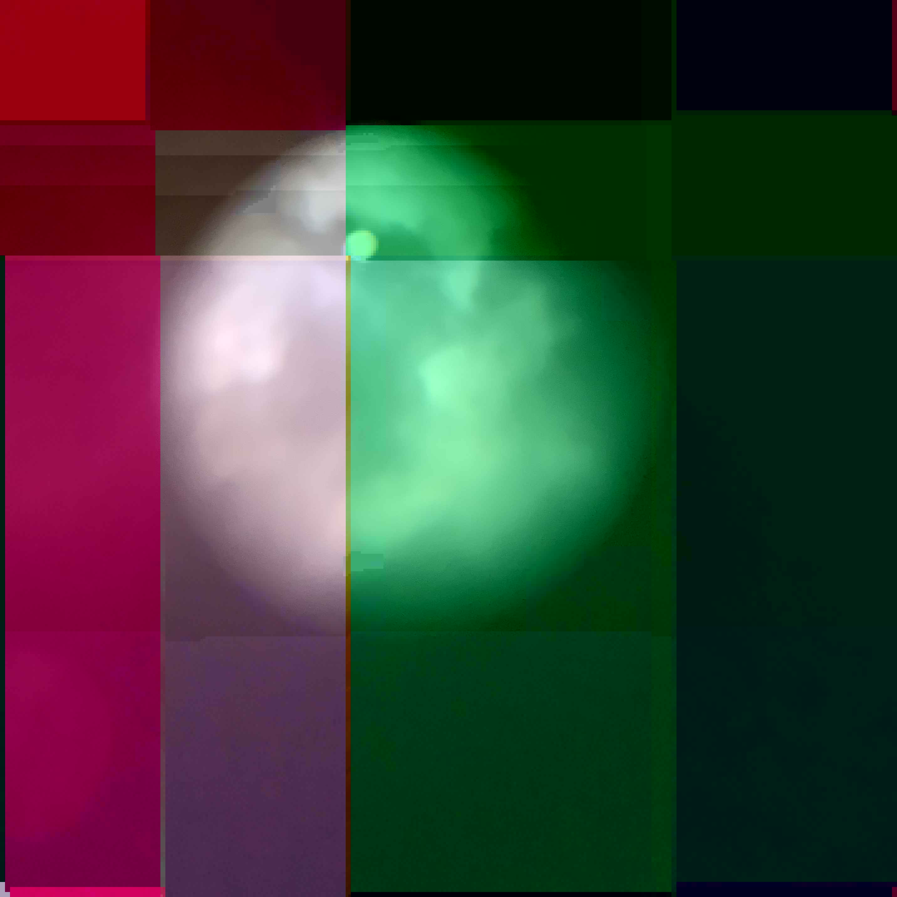 in the center is a blurry circle with a smaller circle inside it. segments of colors bound around these circles. the left is reds and deep pinks; the right dark greens. four bands of color vertically; four horizontally.
